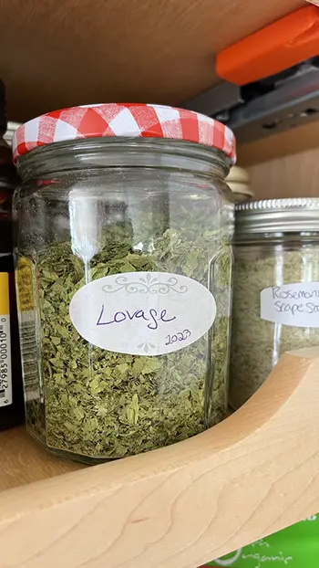 Complete Guide to Growing Lovage