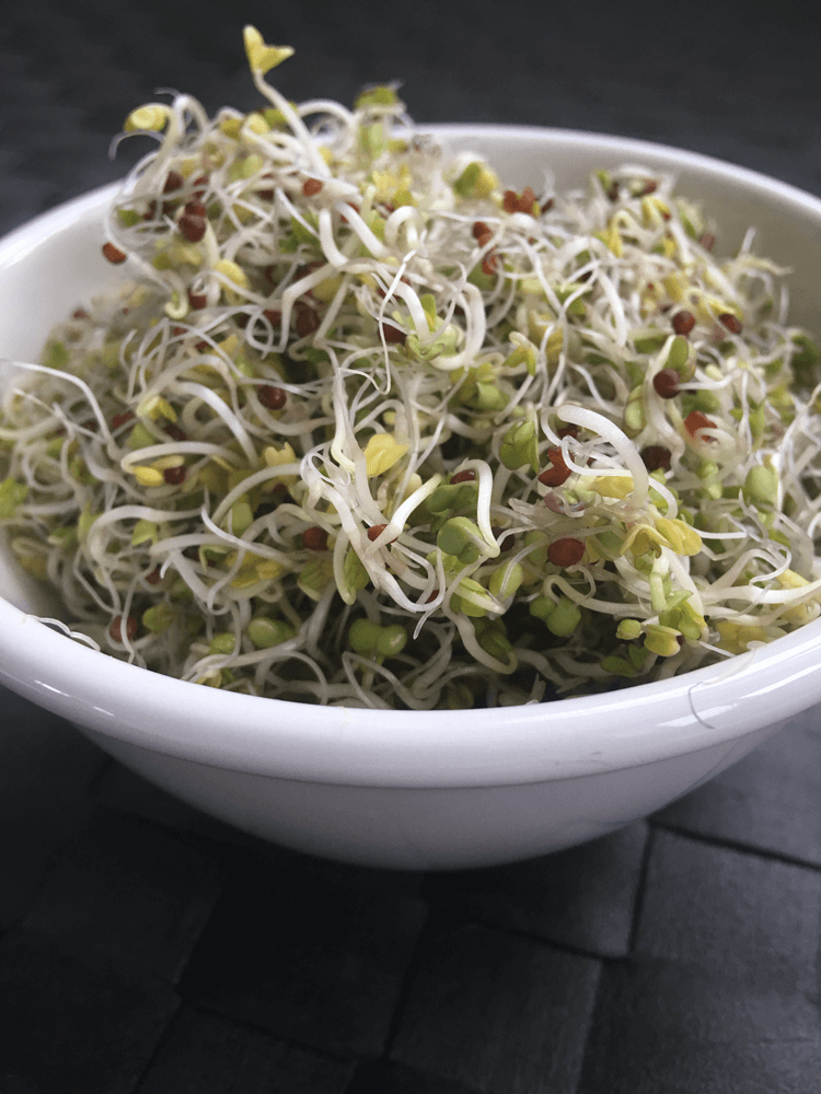 How to Sprout Seeds in a Jar