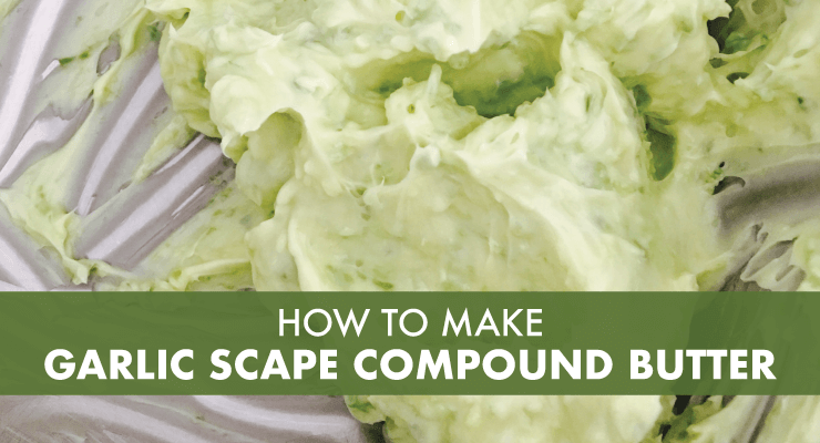 How to Make Garlic Scape Compound Butter