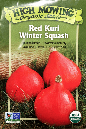 How to Grow and Use Red Kuri Squash