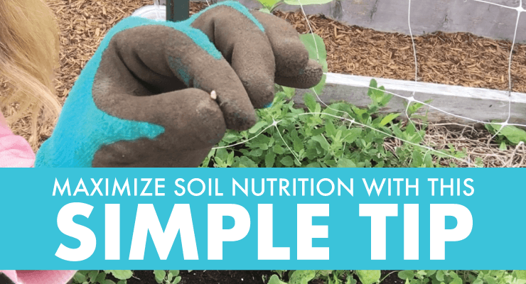 Maximize Soil Nutrition with This Simple Tip