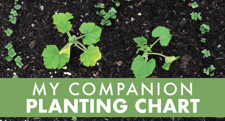 My Companion Planting Chart