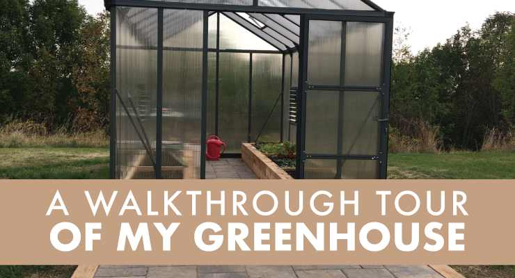 A Walkthrough Tour of My Greenhouse