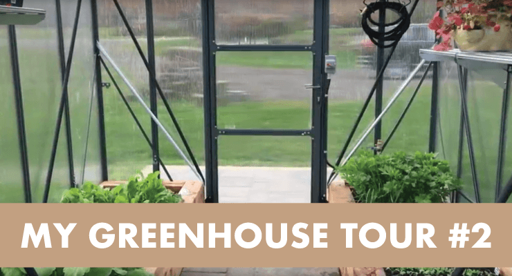 My Greenhouse Tour #2