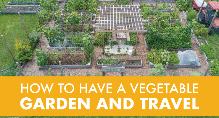 How to Have a Vegetable Garden and Travel