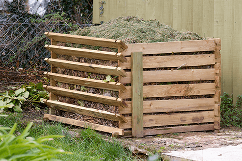 How to Plan Your Vegetable Garden