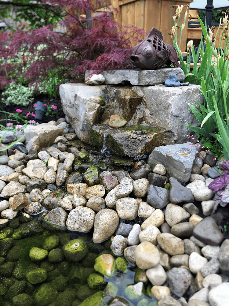How to Plan Your Vegetable Garden