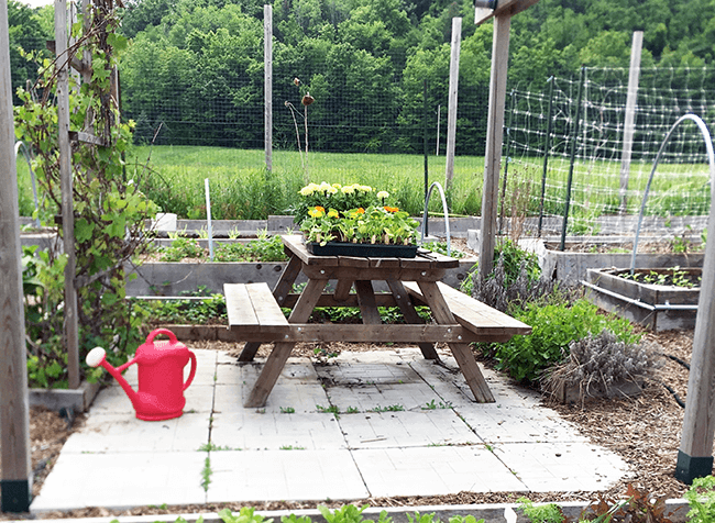 How to Plan Your Vegetable Garden