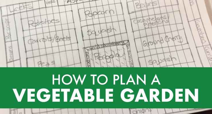 How to Plan a Vegetable Garden