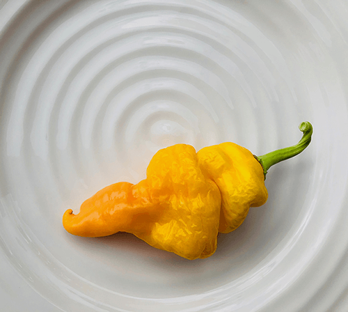How to Save Pepper Seeds