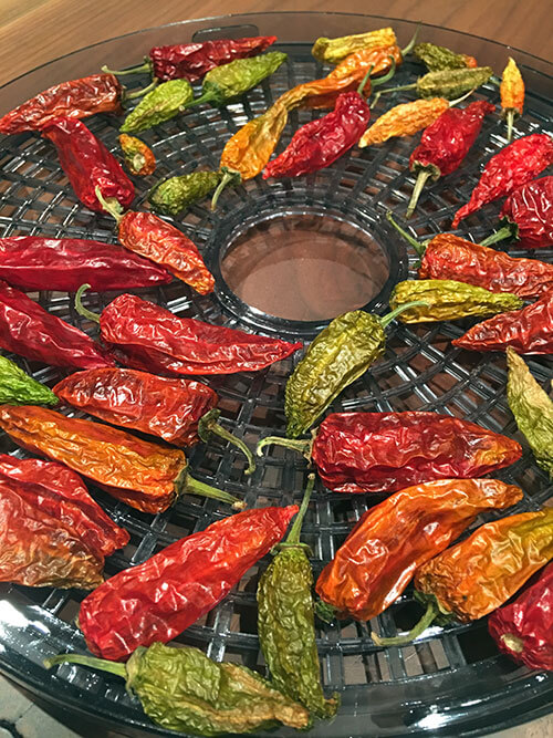 How To Dehydrate Vegetables