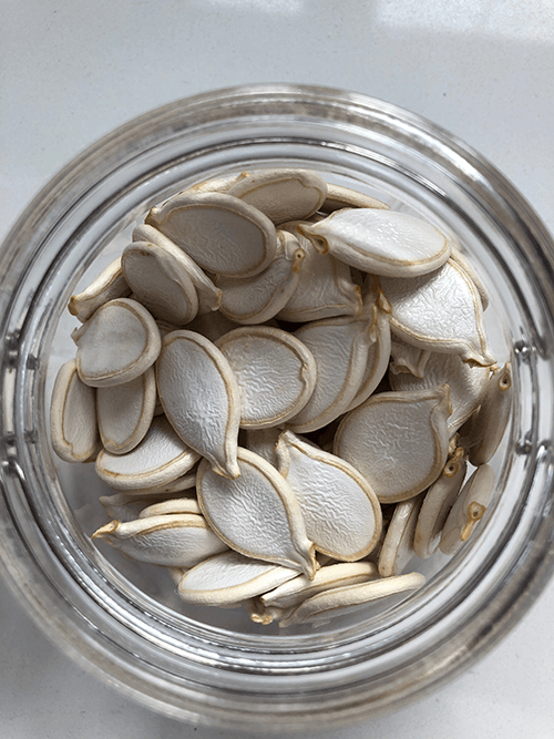 How to Save Squash Seeds