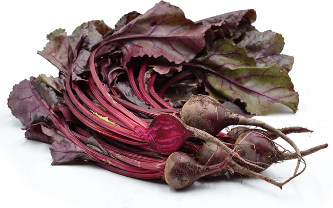 Comparing Beet Varieties