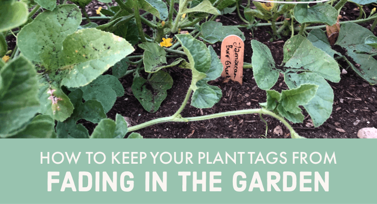 How to Keep Your Plant Tags from Fading in the Garden