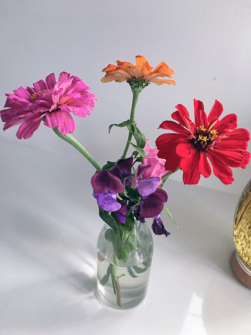 How to Make your Cut Flowers Last Longer