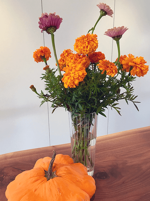 How to Make your Cut Flowers Last Longer