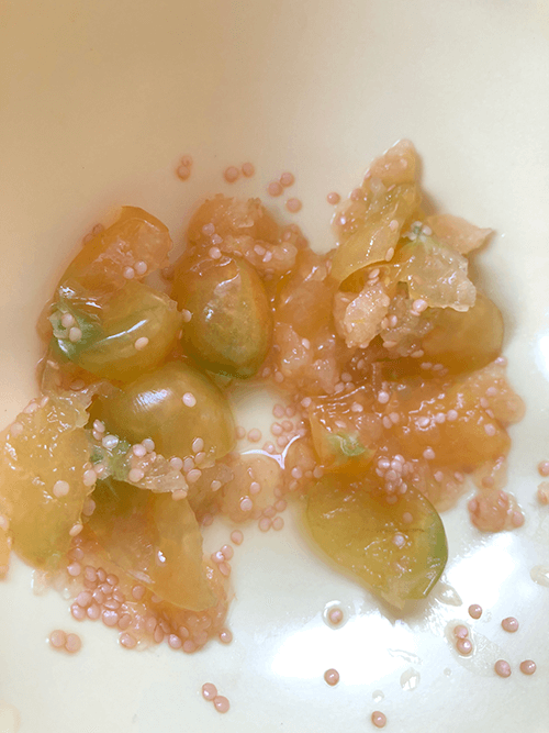 How to Save Ground Cherry Seeds