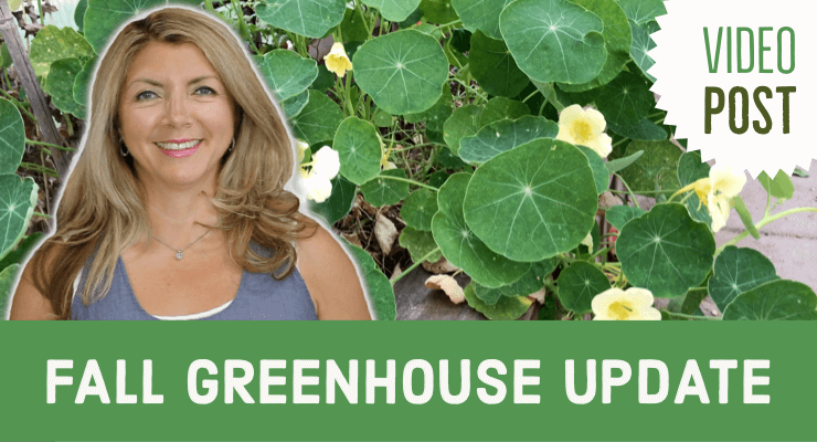 Julia Dimakos - Fall Greenhouse Update