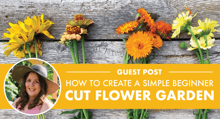 How to Create a Simple Beginner Cut Flower Garden