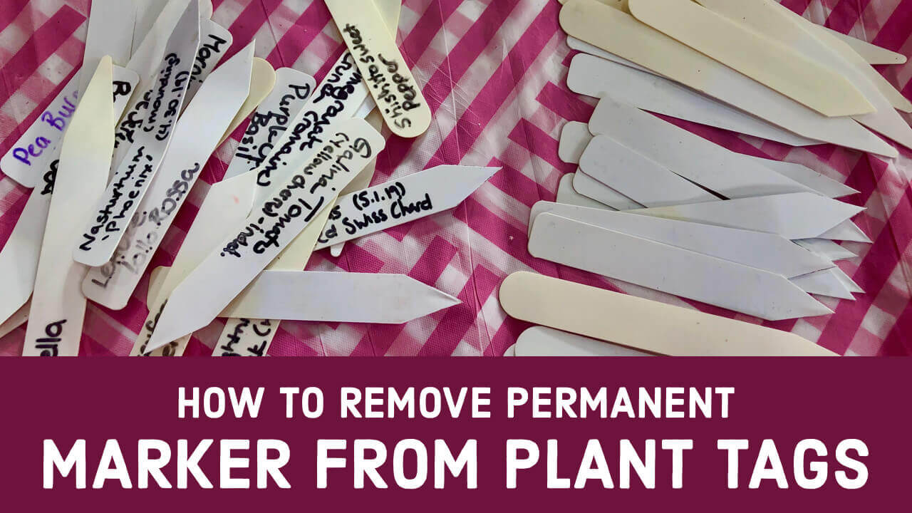 How to Remove Permanent Marker from Plant Tags