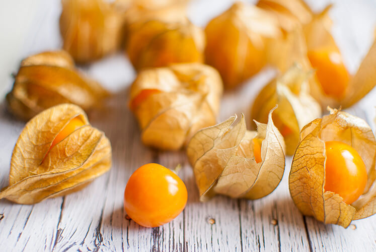 How to Grow Ground Cherry