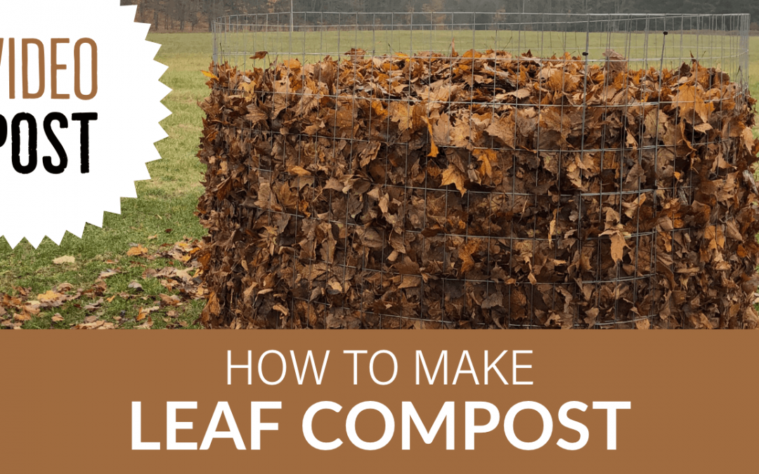 [Video] How to Make Leaf Compost