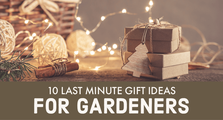 10 Last Minute Gift Ideas for Gardener’s 10 Last Minute Gift Ideas for Gardener's