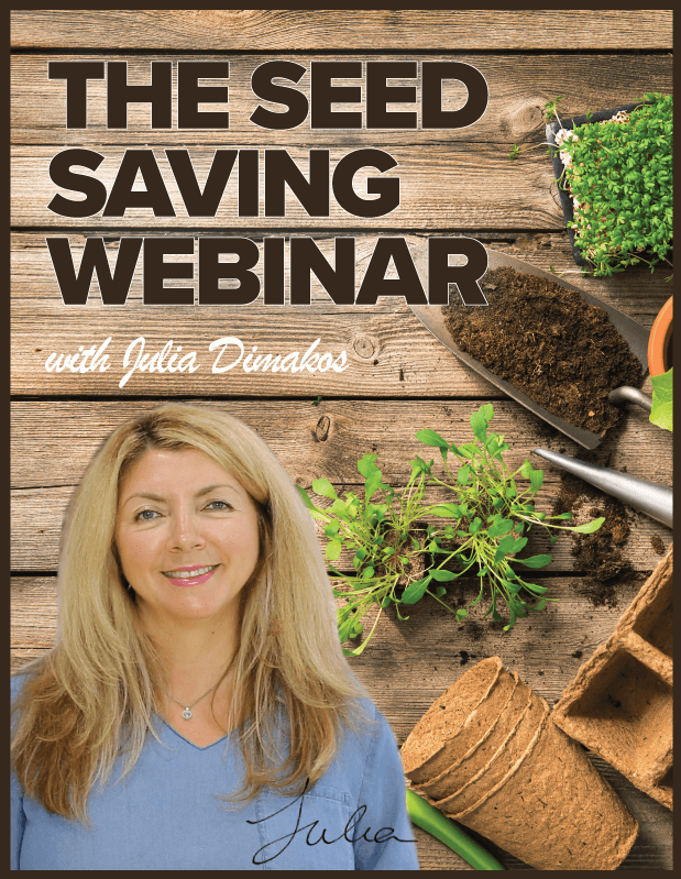 The Seed Saving Webinar with Julia Dimakos