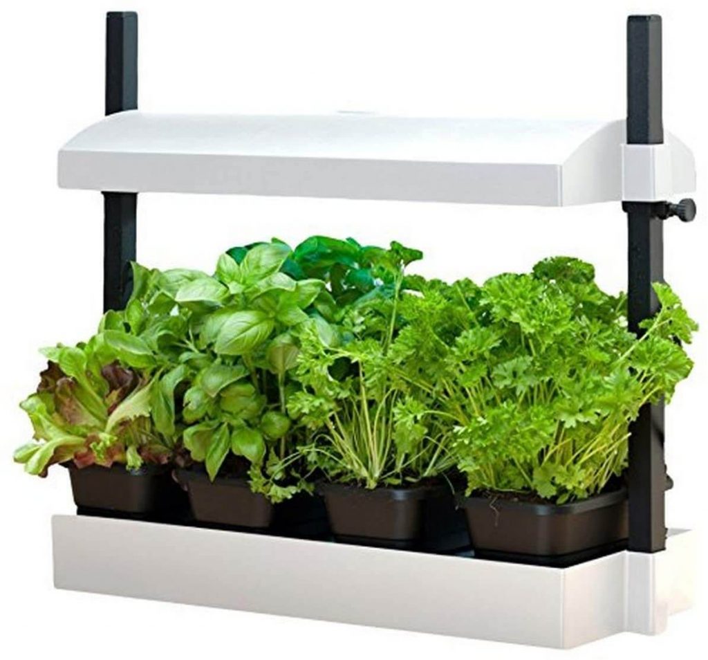 Sunblaster Micro Growlight Garden
