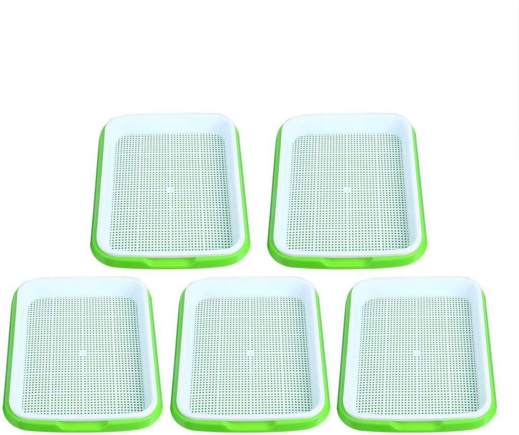 Seed Sprouter Trays