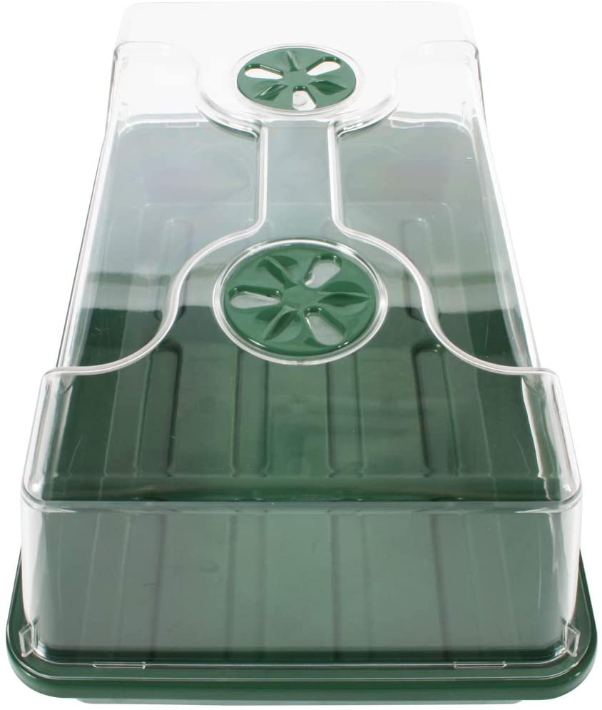 Medium Domed Propagator Tray
