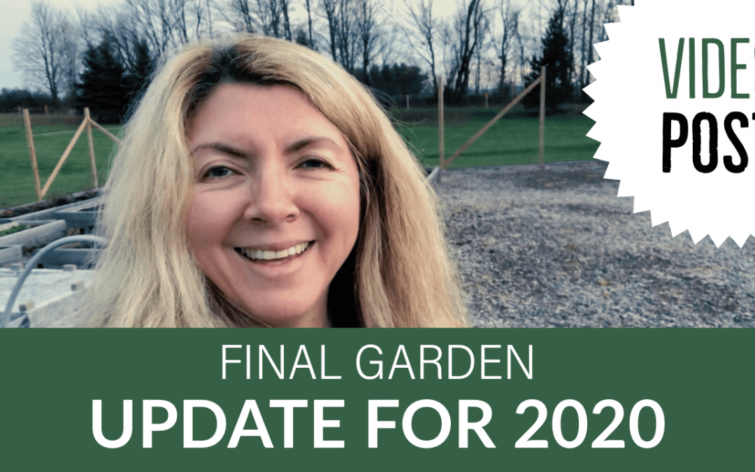 [Video] Final Garden Update for 2020