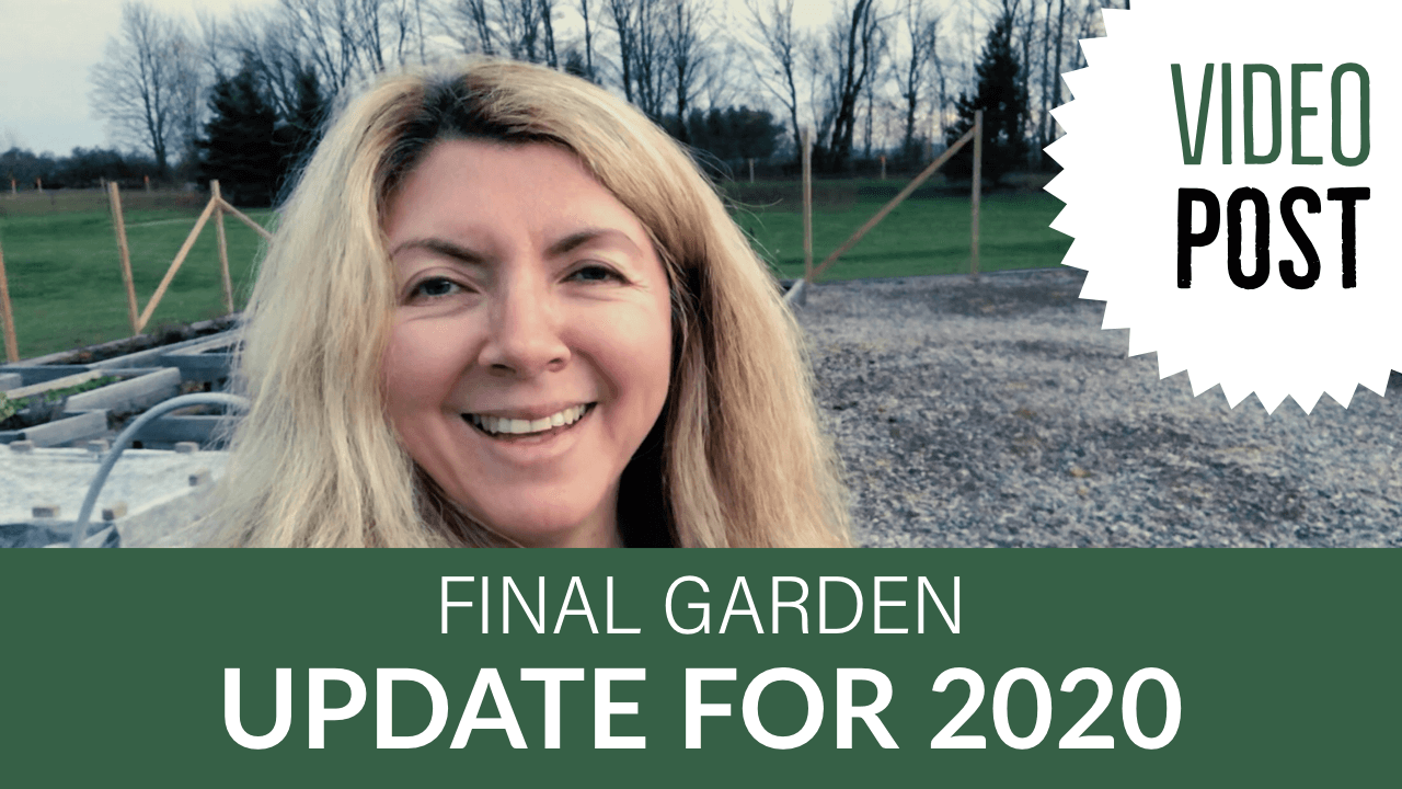 Final Garden Update 2020