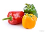 Beginner Gardeners