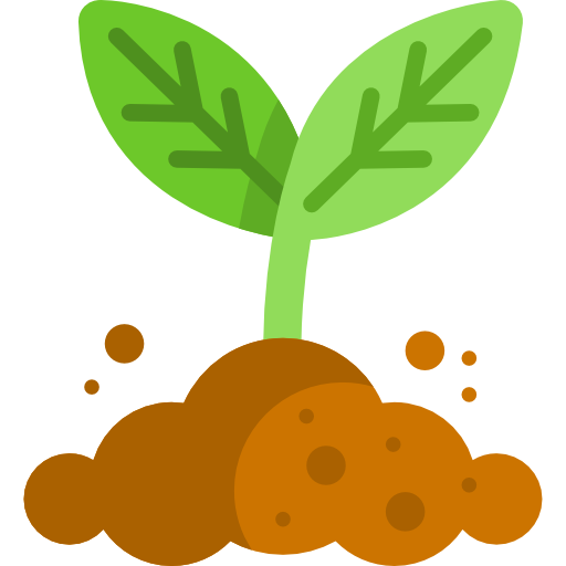 Novice Gardeners