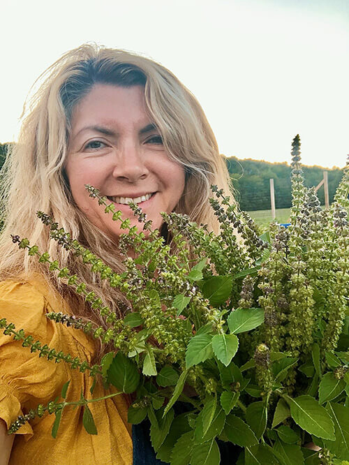 10 Varieties of Basil For Your Garden
