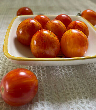 'Sunrise Bumblebee' Cherry Tomato - Image 2