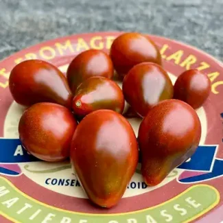 Chocolate Pear Cherry Tomato
