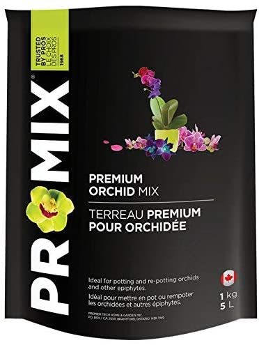 The Care and Keeping of Phalaenopsis Orchids