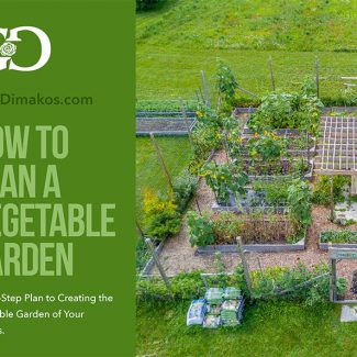 How to Plan a Vegetable Garden