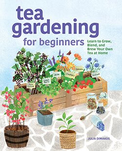 tea gardening for beginners