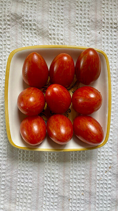 Prairie Fire Tomato - Image 3