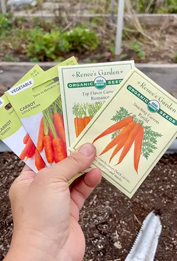 12 Tips for Growing the Best Carrots