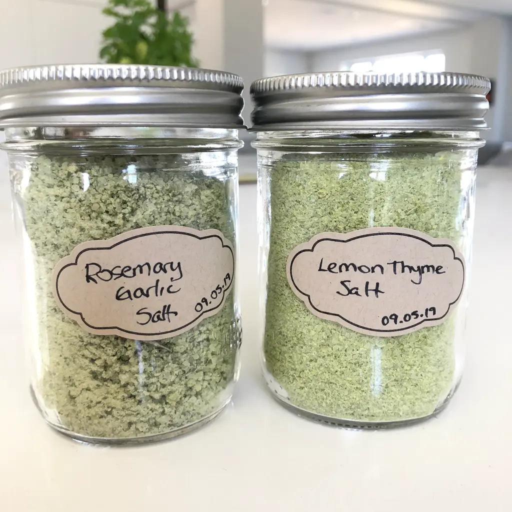 How to Transition Rosemary Indoors for the Winter