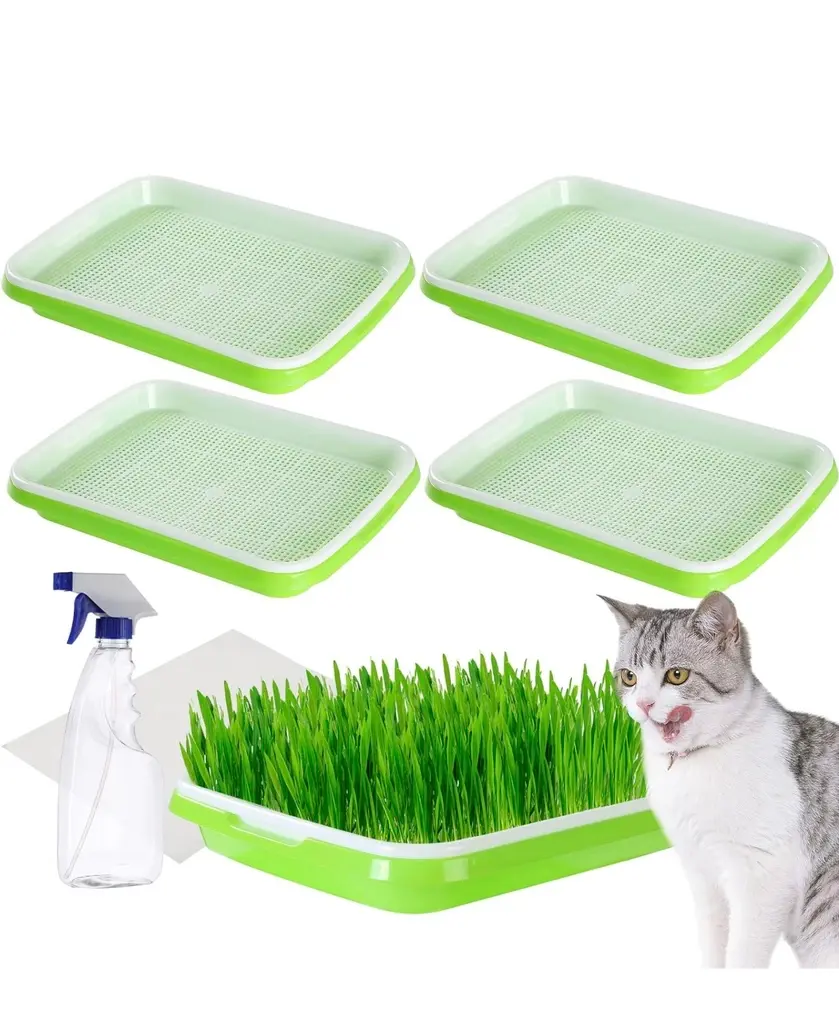 Seed Sprouter Trays (5-pack)