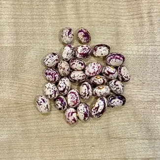 Borlotti Lingua di Fuoco (Borlotti Bean)