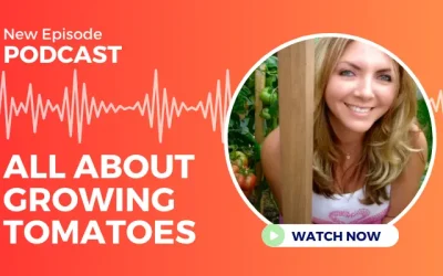 All About Growing Tomatoes: An Interview on the Down the Garden Podcast