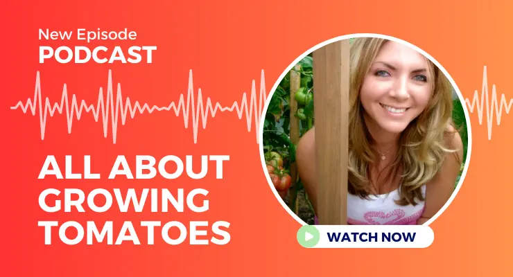 All About Growing Tomatoes: An Interview on the Down the Garden Podcast