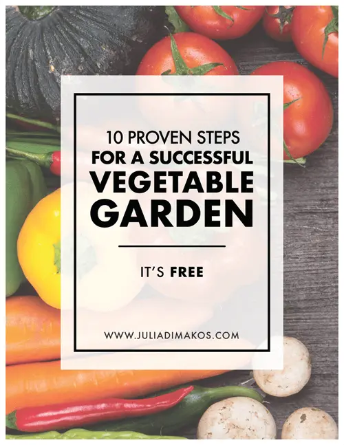 10 Proven Steps 10 Proven Steps